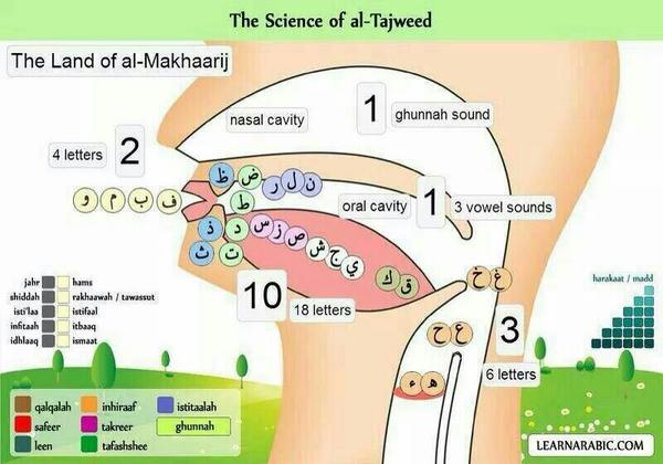 ilmu tajwid